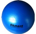 professional exercise ball